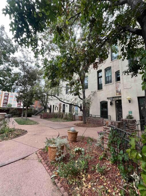 Affordable & Chic Rino/Lodo/Dtown Loft- Walkable Apartment DEN Exterior foto